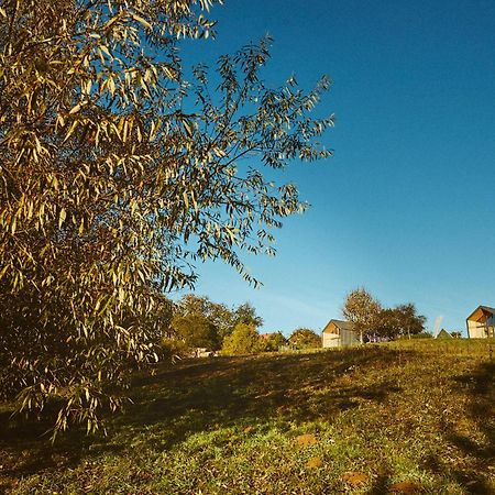 Scandinave Chalet Bran เซอร์เนช ภายนอก รูปภาพ
