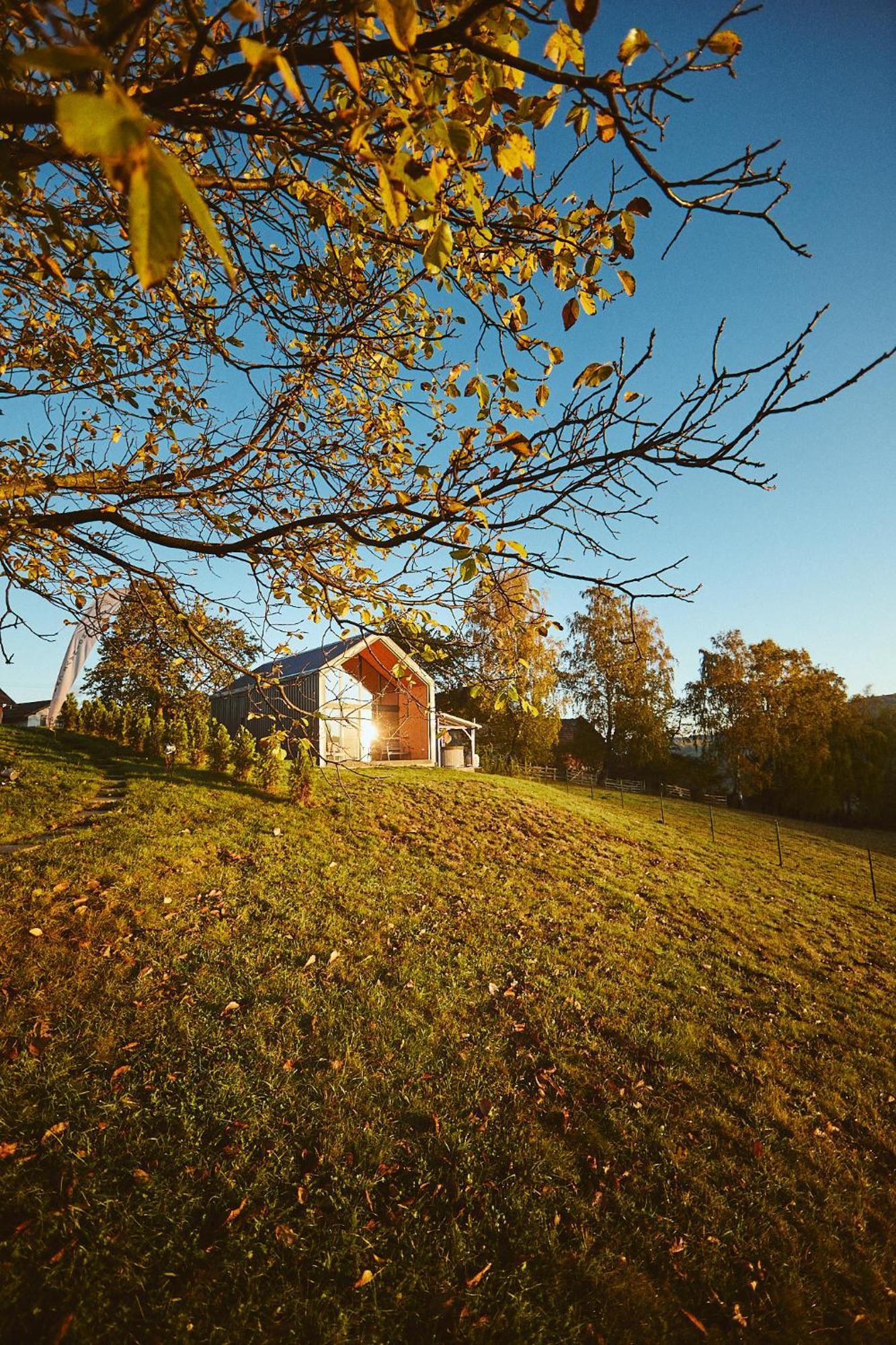 Scandinave Chalet Bran เซอร์เนช ภายนอก รูปภาพ