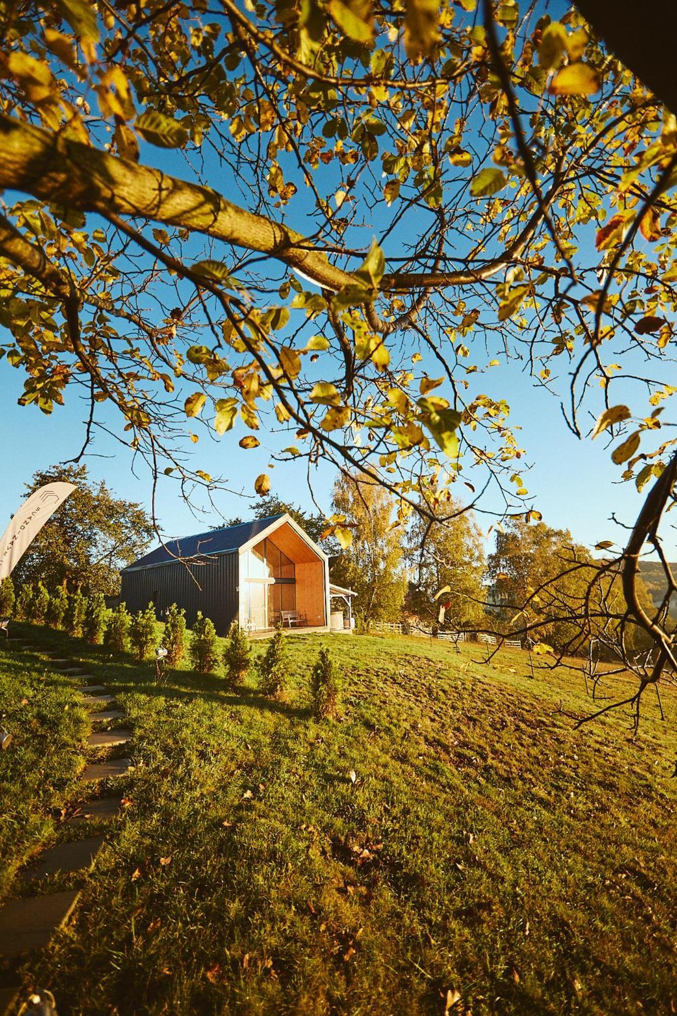 Scandinave Chalet Bran เซอร์เนช ภายนอก รูปภาพ