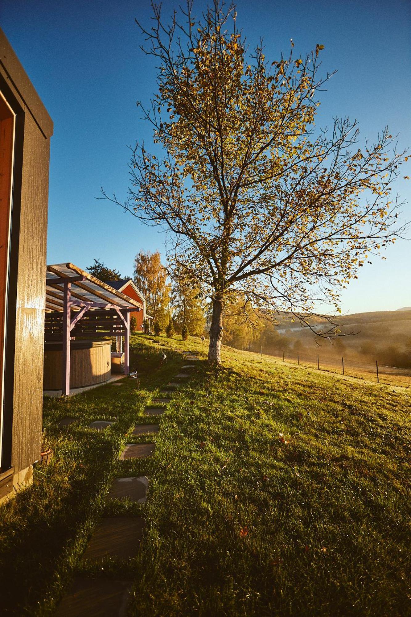 Scandinave Chalet Bran เซอร์เนช ภายนอก รูปภาพ