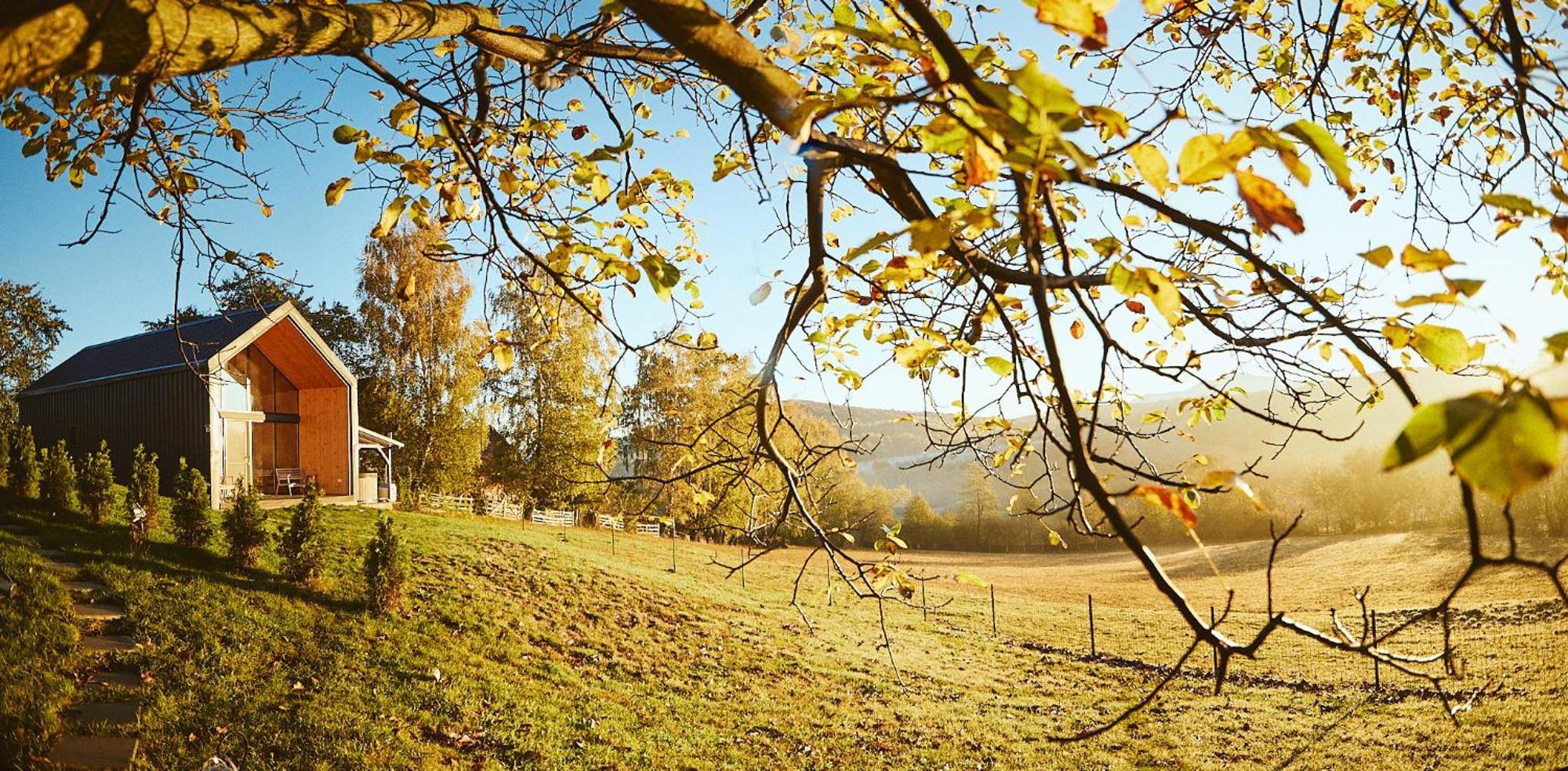 Scandinave Chalet Bran เซอร์เนช ภายนอก รูปภาพ