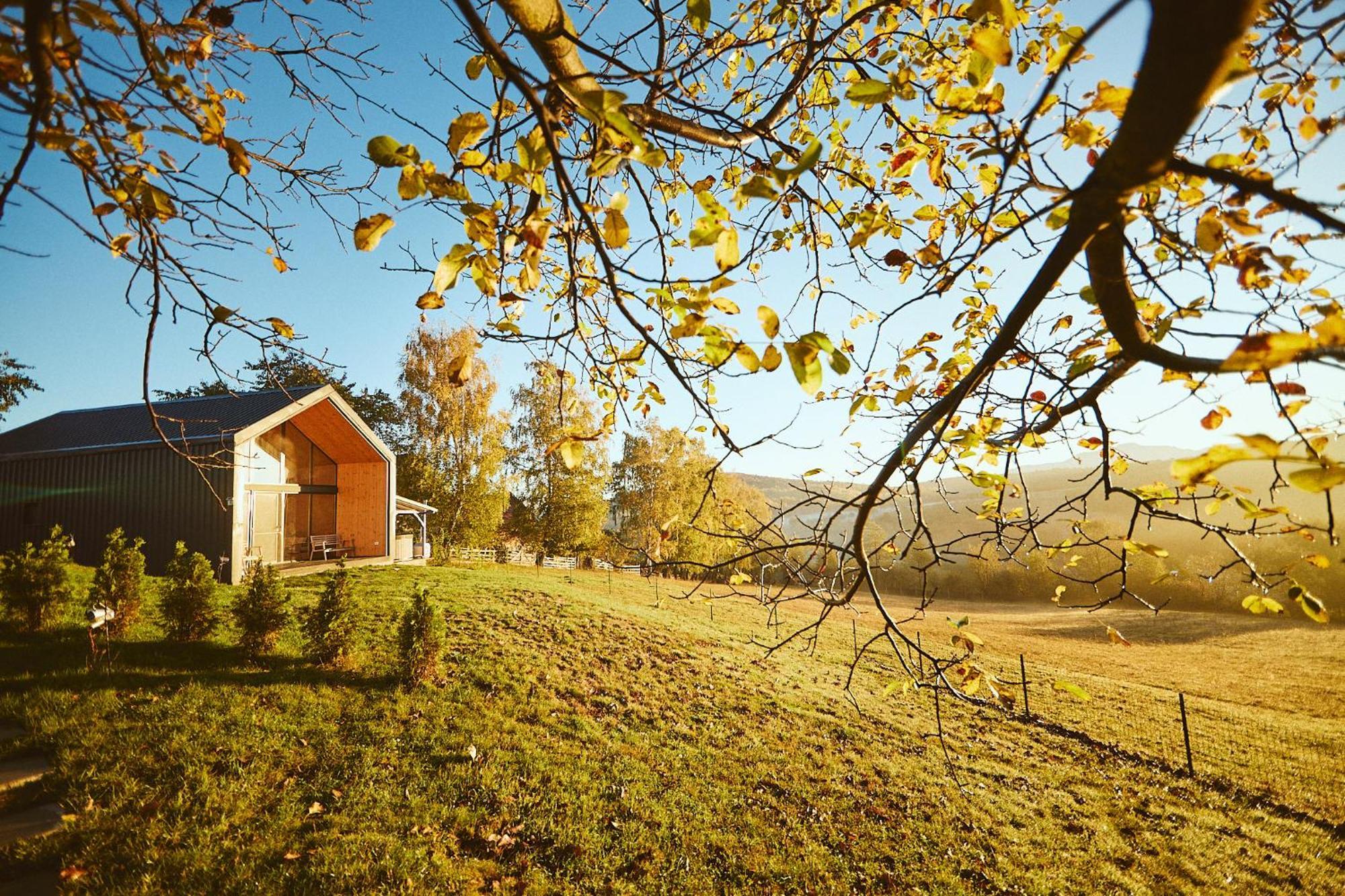 Scandinave Chalet Bran เซอร์เนช ภายนอก รูปภาพ