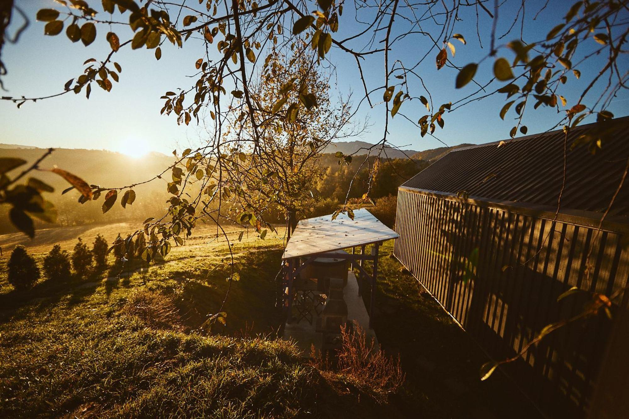 Scandinave Chalet Bran เซอร์เนช ภายนอก รูปภาพ