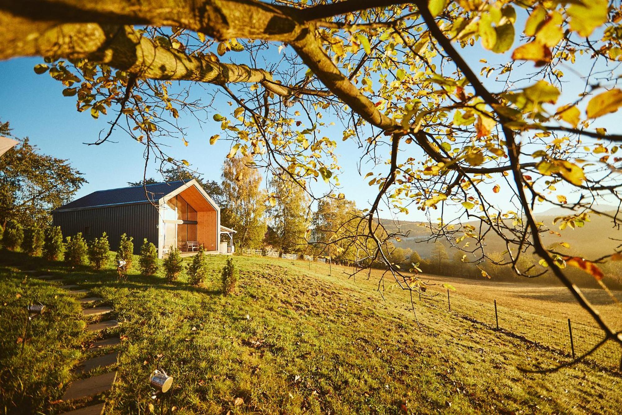 Scandinave Chalet Bran เซอร์เนช ภายนอก รูปภาพ