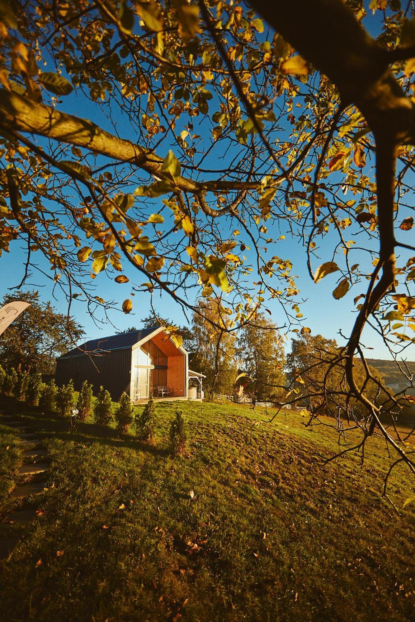 Scandinave Chalet Bran เซอร์เนช ภายนอก รูปภาพ