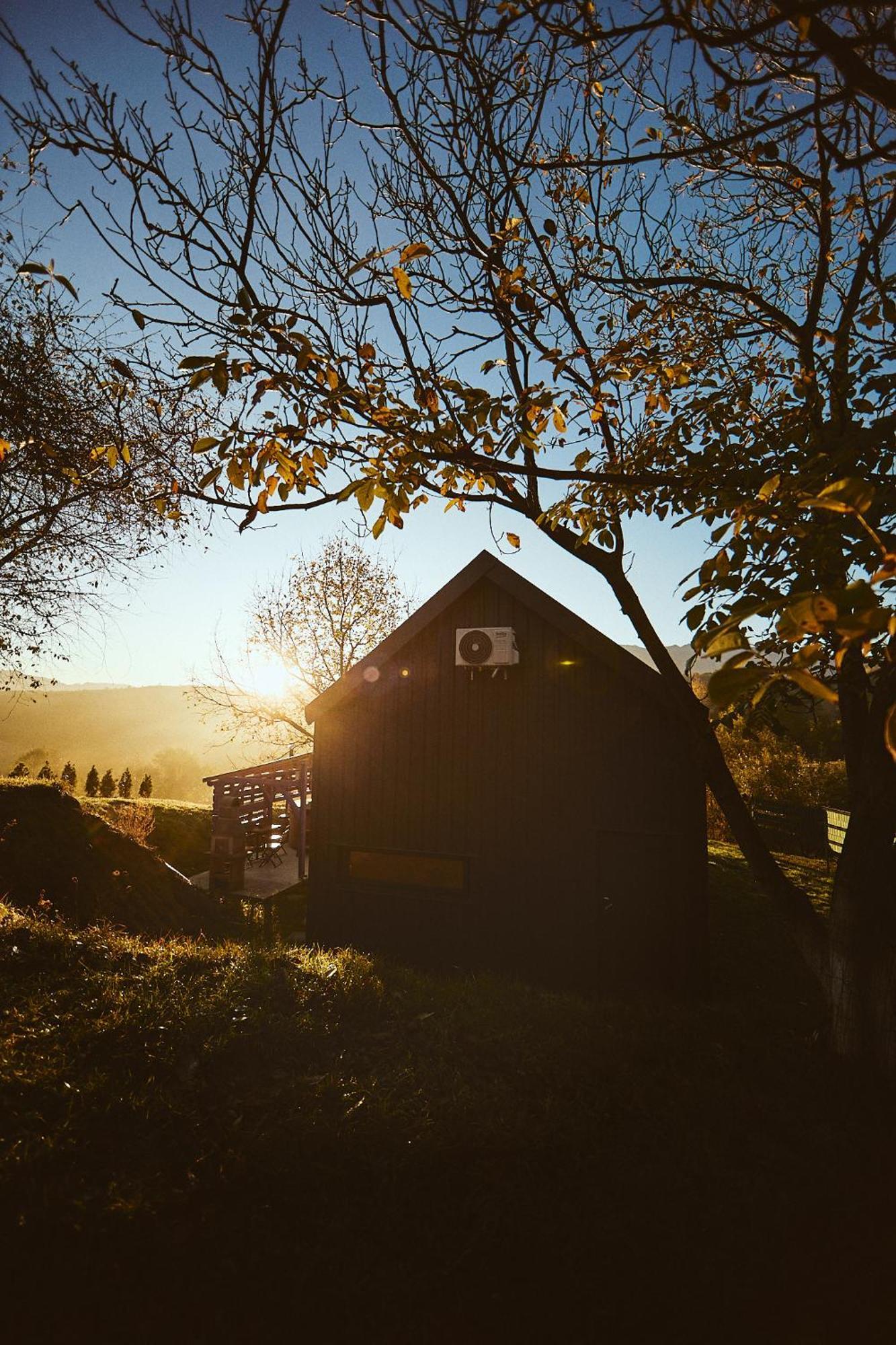 Scandinave Chalet Bran เซอร์เนช ภายนอก รูปภาพ
